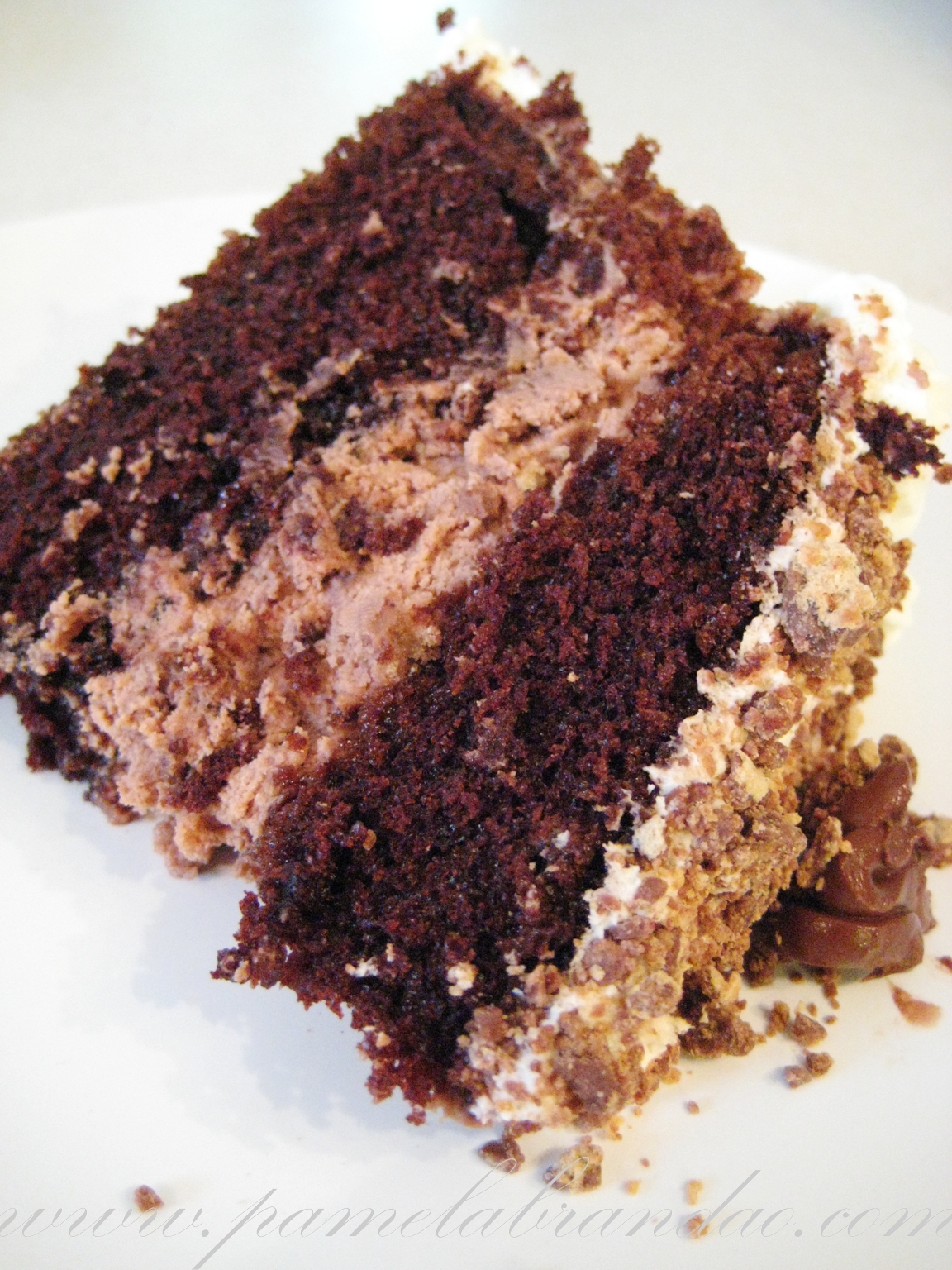 Chocolate Cake With Nutella Frosting - Pam*b